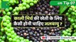 किसानों को सिंघाड़ा की खेती करने पर सरकार से मिलेगी सब्सिडी | Horticulture and Food Processing  राज्य मंत्री ने दी जानकारी In Kisan Bulletin On Green TV