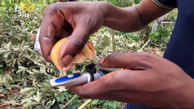 This Nigerian Entrepreneur Has Created a New Adult Beverage