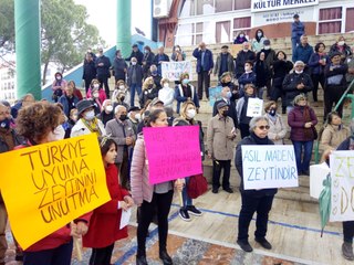 Fethiye’de hem Türkçe hem İngilizce 'Zeytinime Dokunma' eylemi