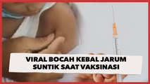 Viral Bocah Kebal Jarum Suntik saat Vaksinasi, Bikin Geger
