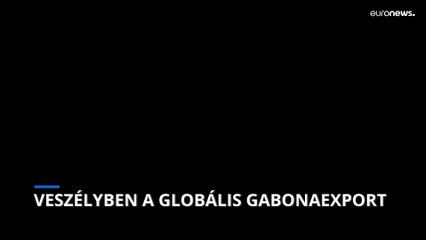 Az ukrajnai háború miatt a globális búzaexport is veszélybe került
