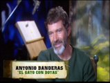 Entrevista 2 - Español