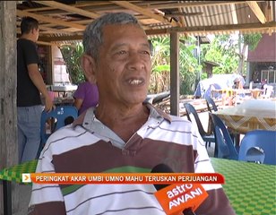 Peringkat akar umbi UMNO mahu terus perjuangan