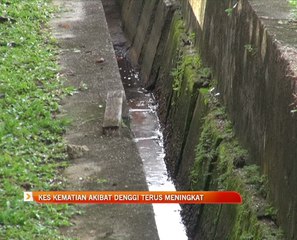 Kes kematian akibat denggi terus meningkat