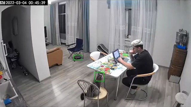 Grosse frayeur pour ce jeune et son chat qui pensent voir un fantôme alors que c'est juste le robot aspirateur