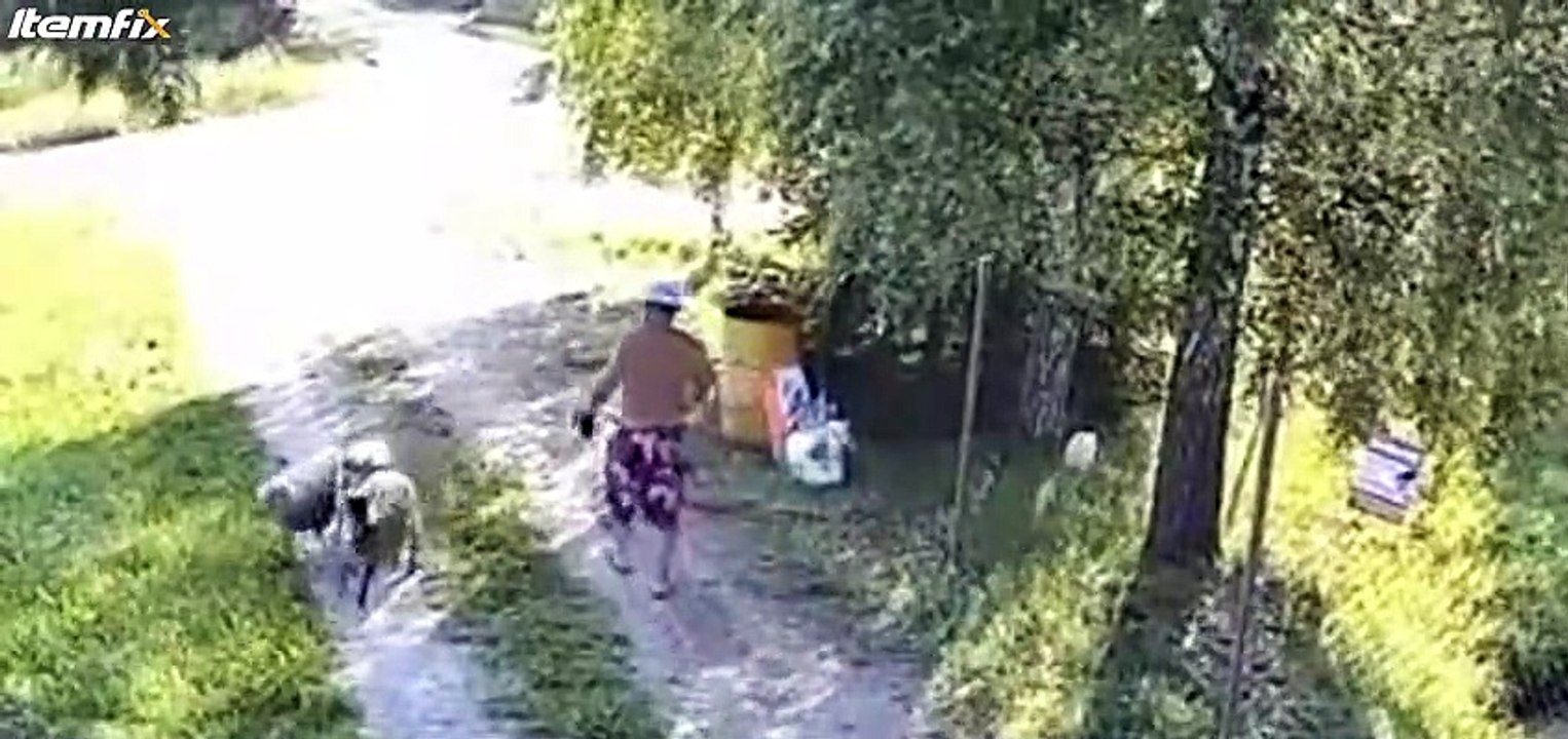 Un bouc c'est rancunier