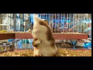 Força G Trailer (2) Original