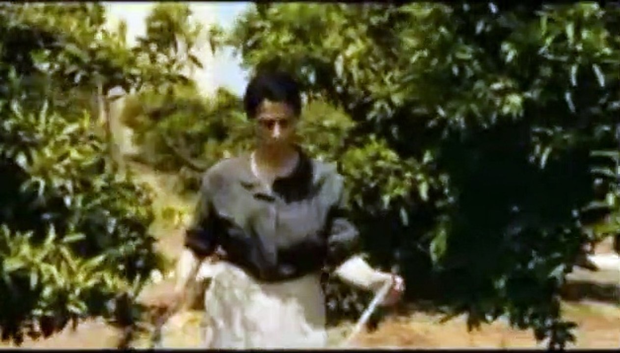 Los limoneros Clip (4)