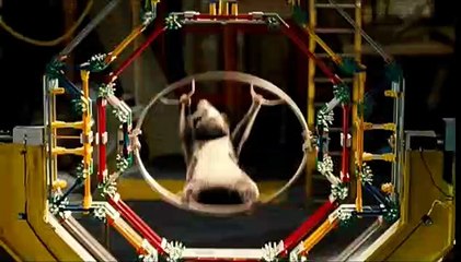 Força G Teaser (3) Original