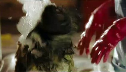 Um Hotel Bom pra Cachorro Trailer (3) Original