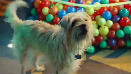 Pequenos Espiões 4 Trailer Original