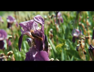 Una amistad inolvidable Clip