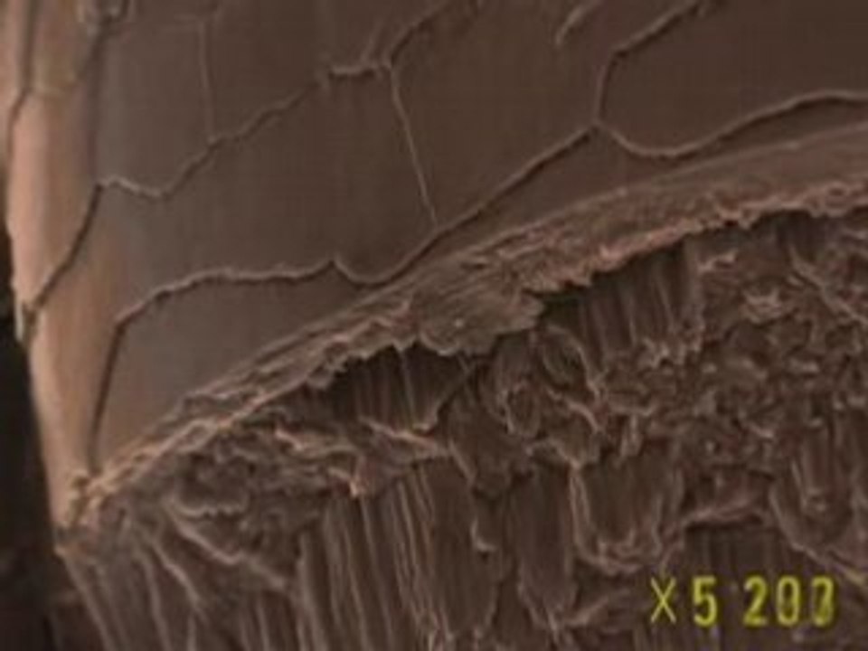 Zoom into Hair video Dailymotion