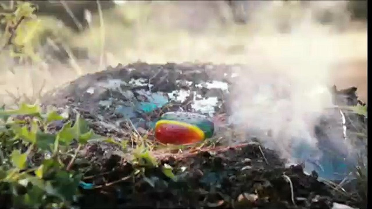 Shorts: La piedra mágica Tráiler