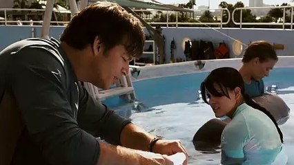 La gran aventura de Winter el delfín Tráiler