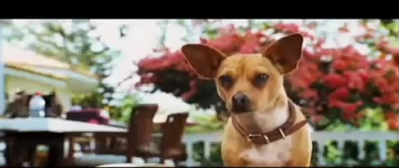 Perdido pra Cachorro Trailer Dublado