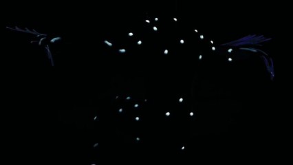 Holy Motors clip Original