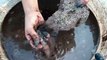 Gritty Red Dirt Chunks Water Crumble Dusty Satisfying Cr: ASMR Chunks❤