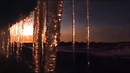 Los reyes del Ártico Tráiler