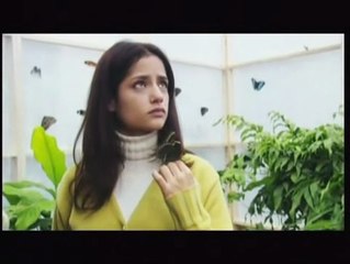 Mariposa negra Tráiler