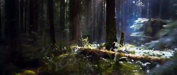 A Saga Crepúsculo: Amanhecer - Parte 2 Trailer (3) Original