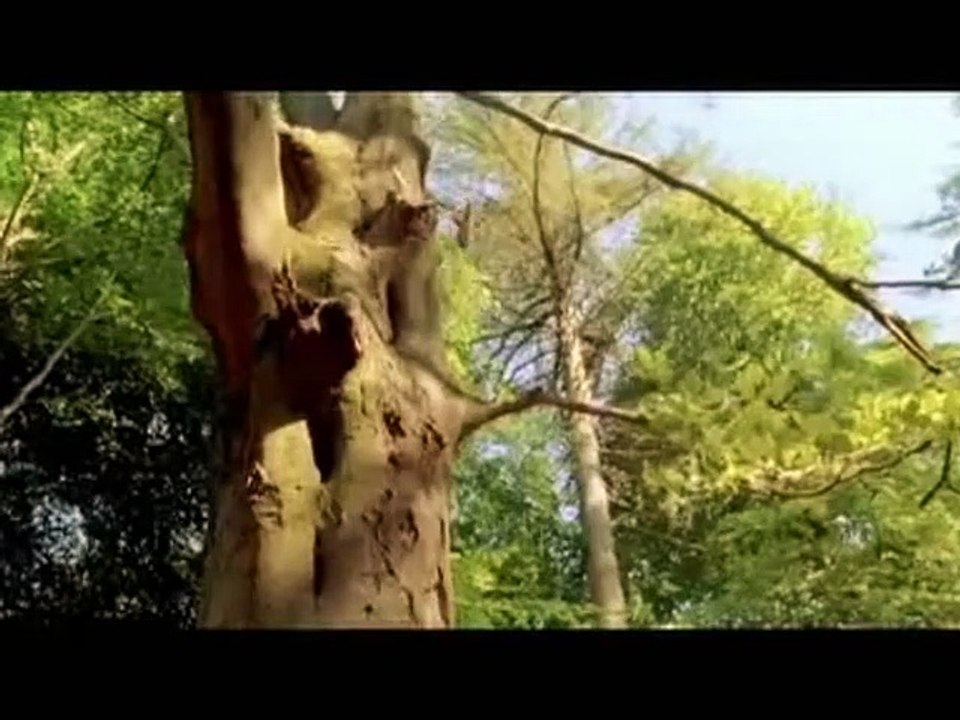 Tierra Tráiler