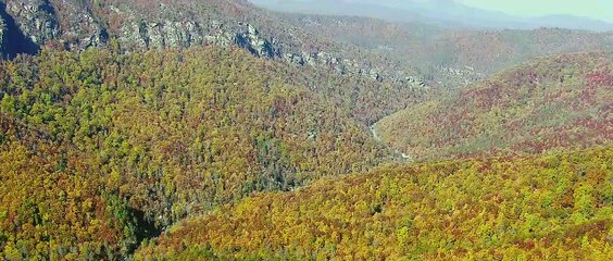 Os Infratores Trailer (2) Original