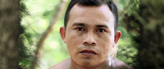 A Floresta de Jonathas Trailer Dublado