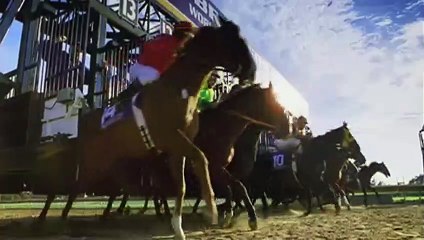 Sonhadora Trailer Original