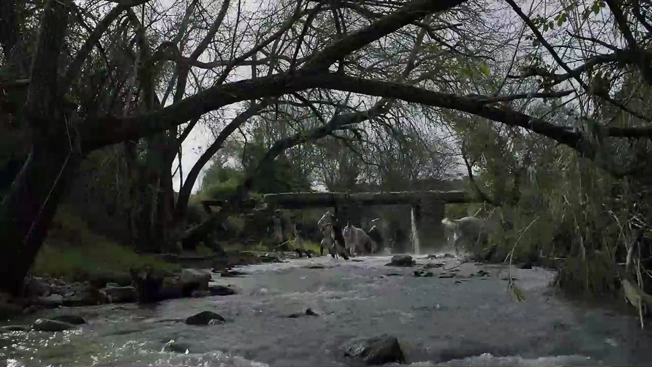 Linhas de Wellington clip Dublado