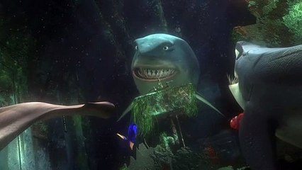 Procurando Nemo clip Original