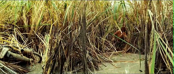 Lo Imposible Clip (4)