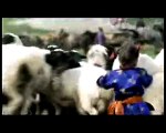 El Perro Mongol Tráiler