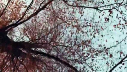 El Infierno Tráiler VO