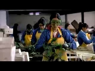 María, llena eres de gracia Tráiler