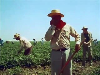 Cidade das Ilusões Trailer Original