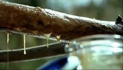 Ojos de cristal Tráiler