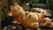 Garfield: La película Tráiler