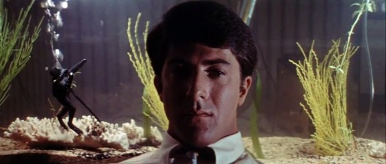 A Primeira Noite de um Homem Trailer Original