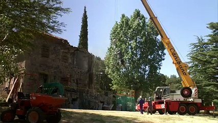 Reportaje 3 - Español