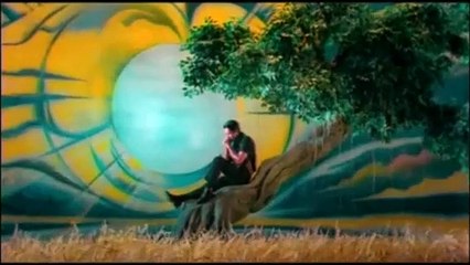 Las lágrimas del tigre negro Tráiler VO