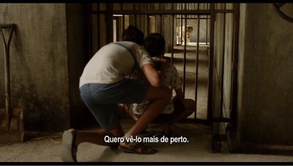 As Aventuras de Pi clip (3) Legendado