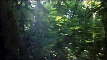 Dr. Dolittle 2 Tráiler VO