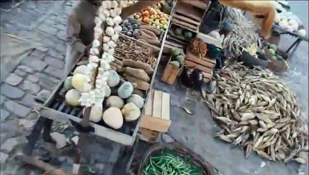 Besouro Trailer Original