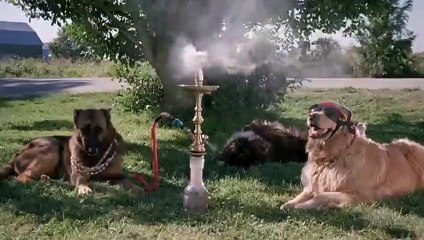 Todo Mundo em Pânico 3 Trailer Original