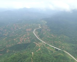 Laluan selamat khusus untuk hidupan liar