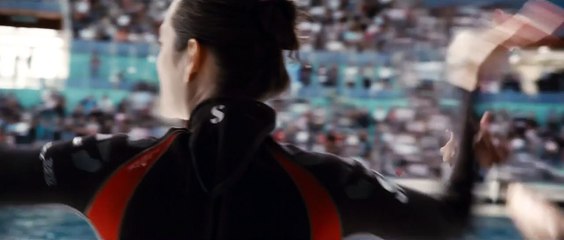 De óxido y hueso Tráiler VO