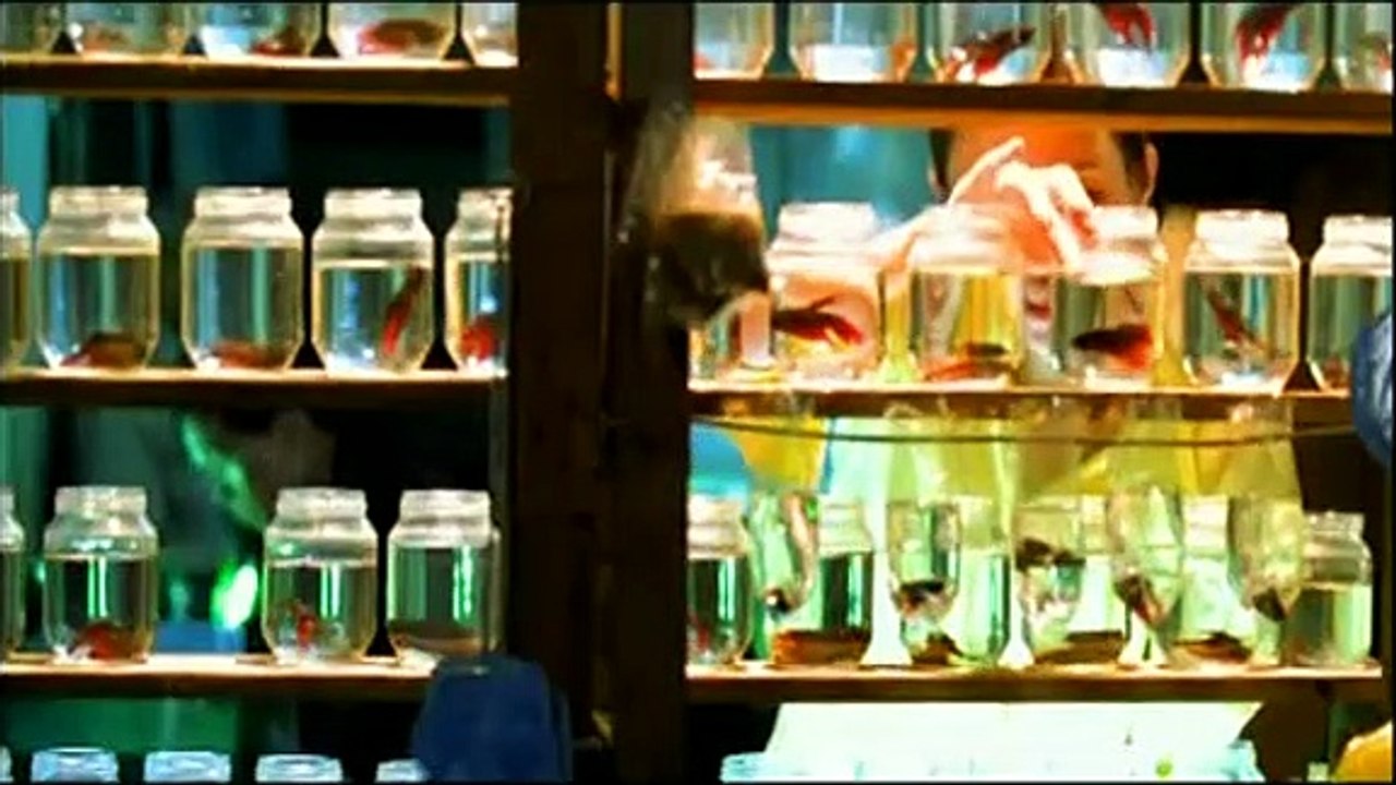 Pleno verano Tráiler VO