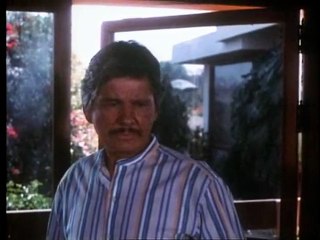 Justiça Selvagem Trailer Original