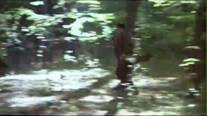 El tren de la vida Tráiler